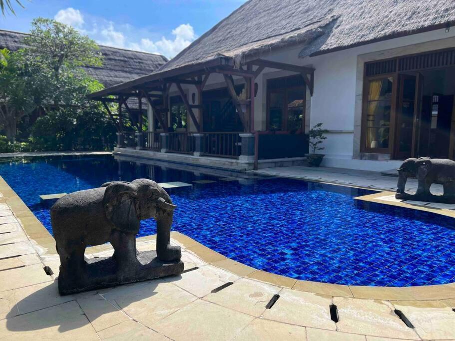 Bali Berg Villa, Sanur Luaran gambar