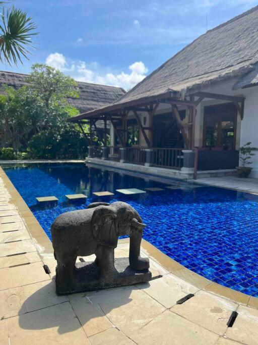 Bali Berg Villa, Sanur Luaran gambar