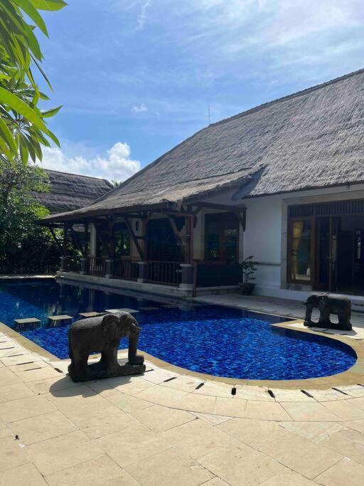 Bali Berg Villa, Sanur Luaran gambar